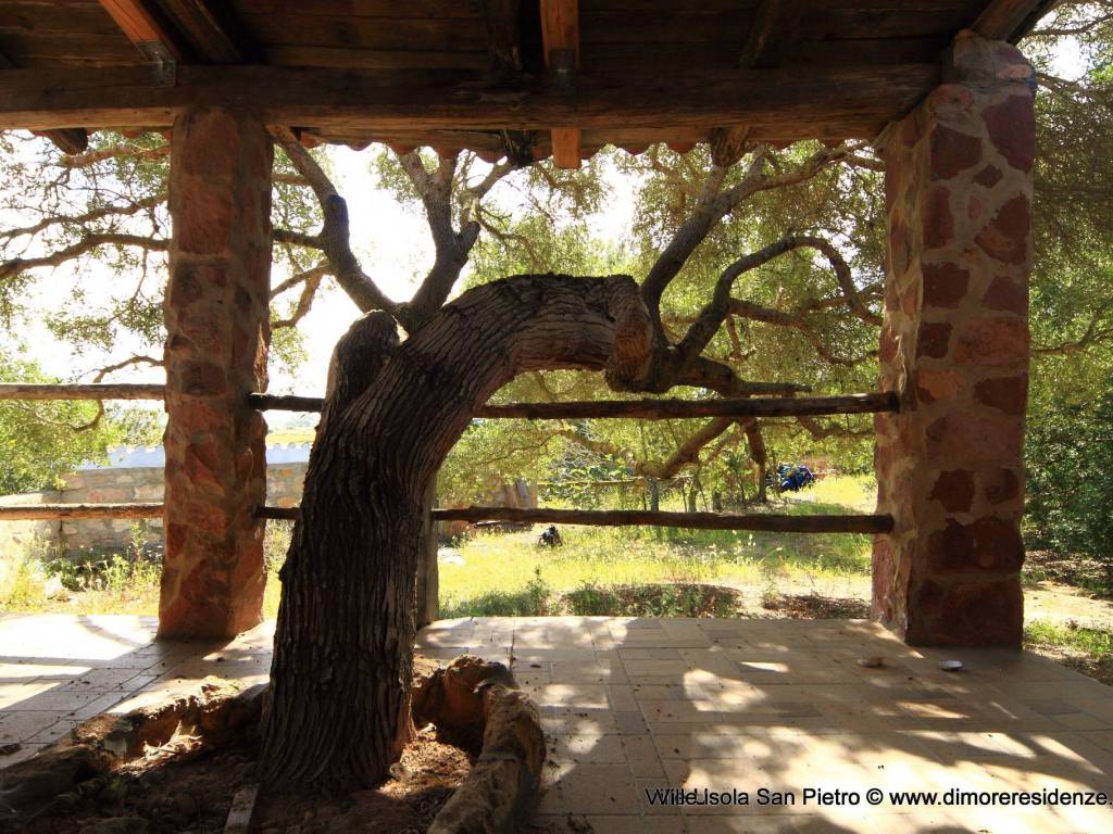 Villa a Carloforte - Foto 3