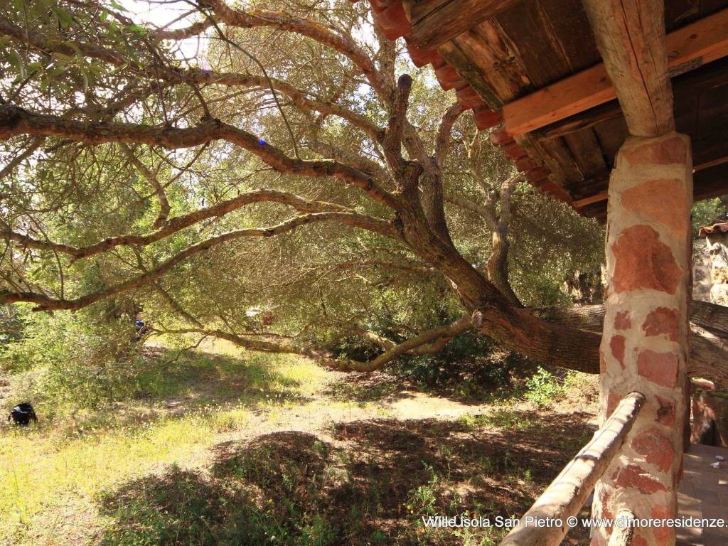 Villa a Carloforte - Foto 5