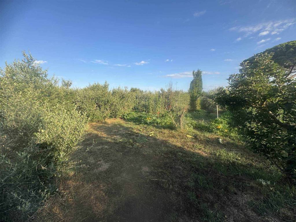 Terreno a Cecina in via della macchia - Foto 3