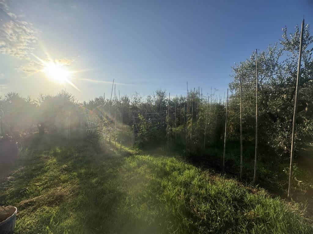 Terreno a Cecina in via della macchia - Foto 5