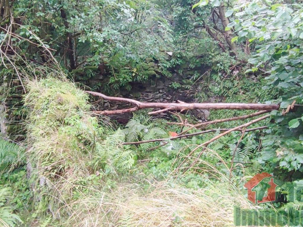 Rustico / casale a Quarna sotto in Via alle Alpi - Foto 4