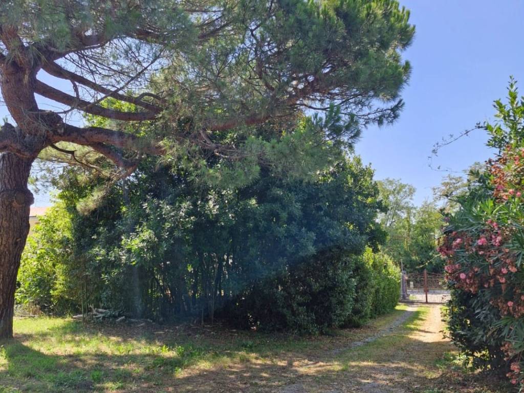 Villa a Trino - Foto 5