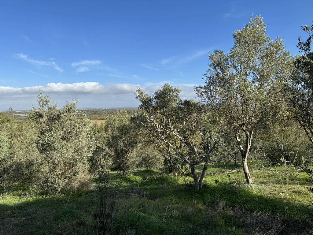 Villa a Uta - Foto 5