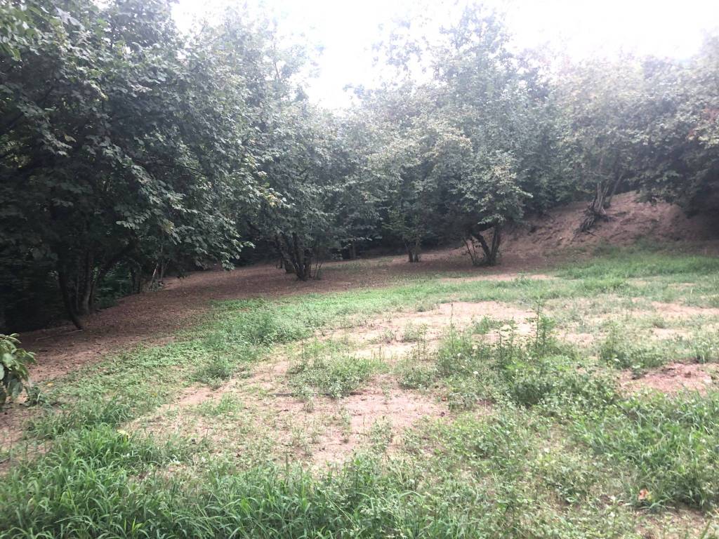 Terreno a Avellino - Foto 2