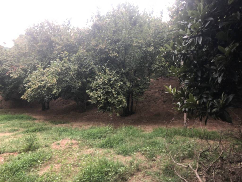 Terreno a Avellino - Foto 3