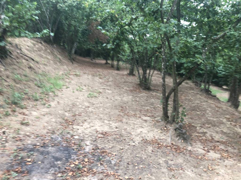 Terreno a Avellino - Foto 4