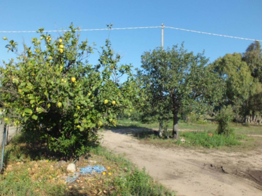 Terreno a San vito - Foto 5