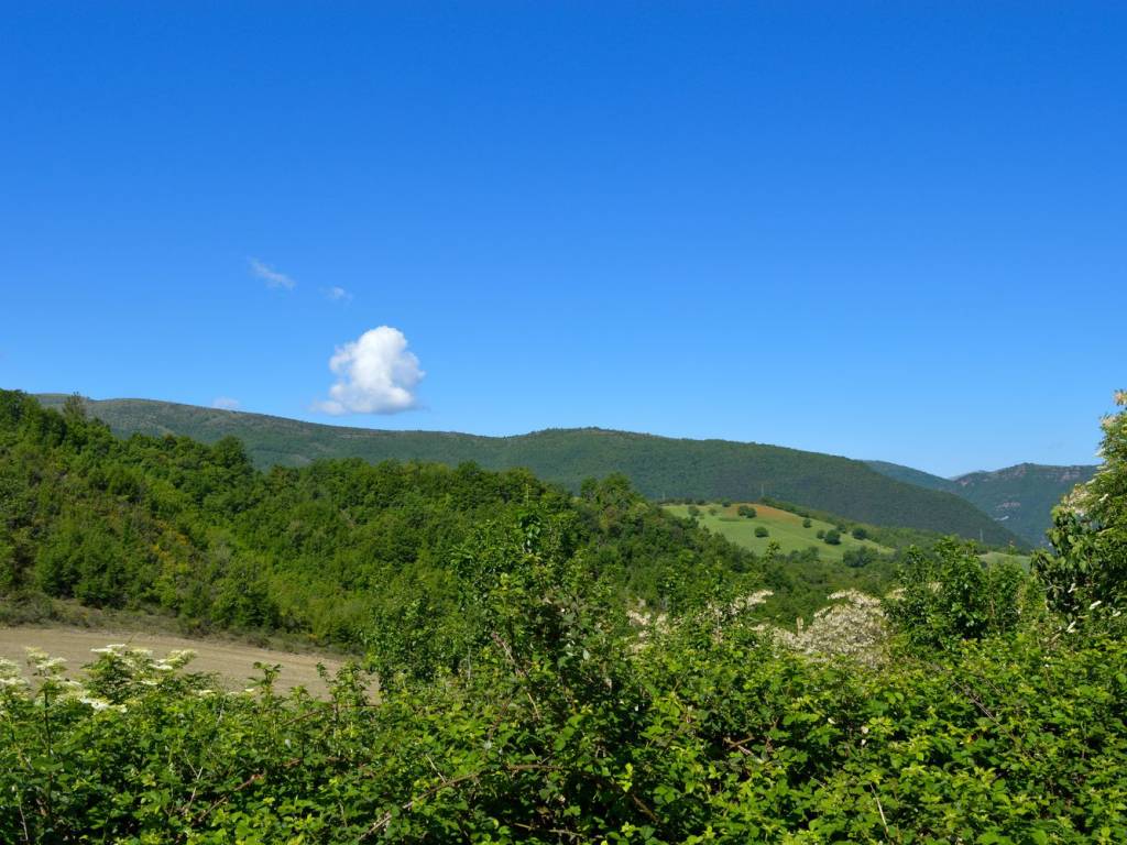 Rustico / casale a Pieve torina in Località Colle di Antico, 6 - Foto 5