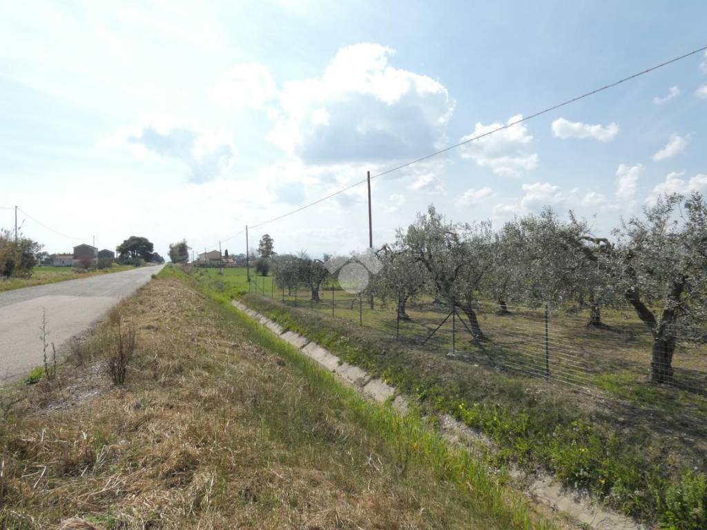 Villa a Scanzano jonico in Via Marche, 29 - Foto 2