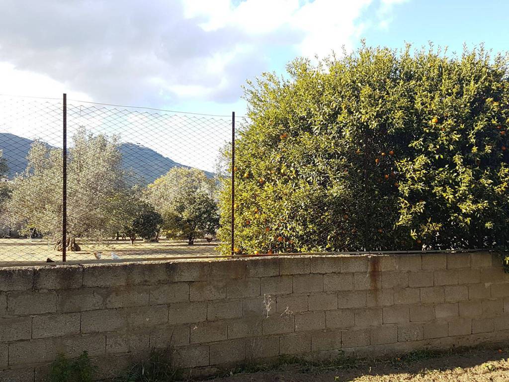 Terreno a Montepaone in Via Giosuè Carducci - Foto 3