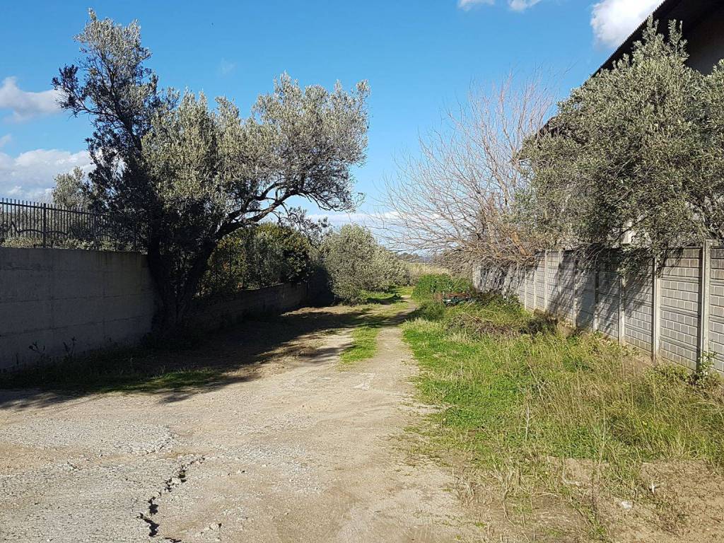 Terreno a Montepaone in Via Giosuè Carducci - Foto 5