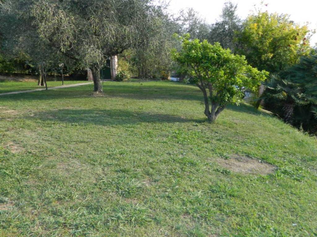 Villa a Sarzana - Foto 5