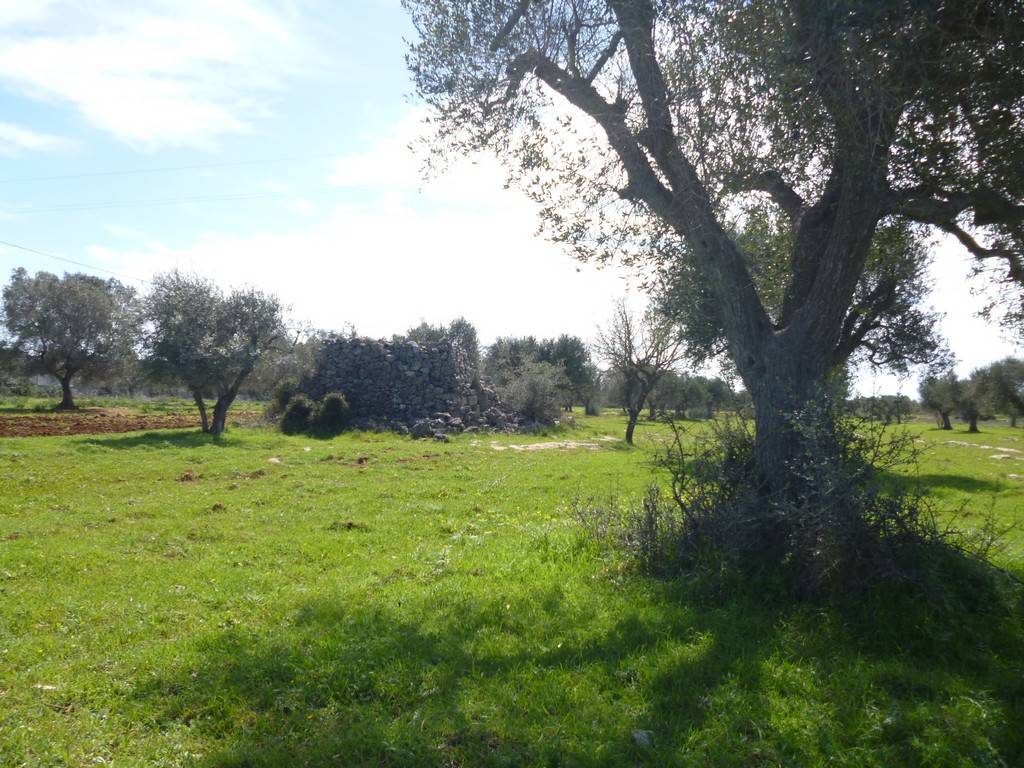 Terreno a Nardò in Strada Grotta Corsari - Foto 2