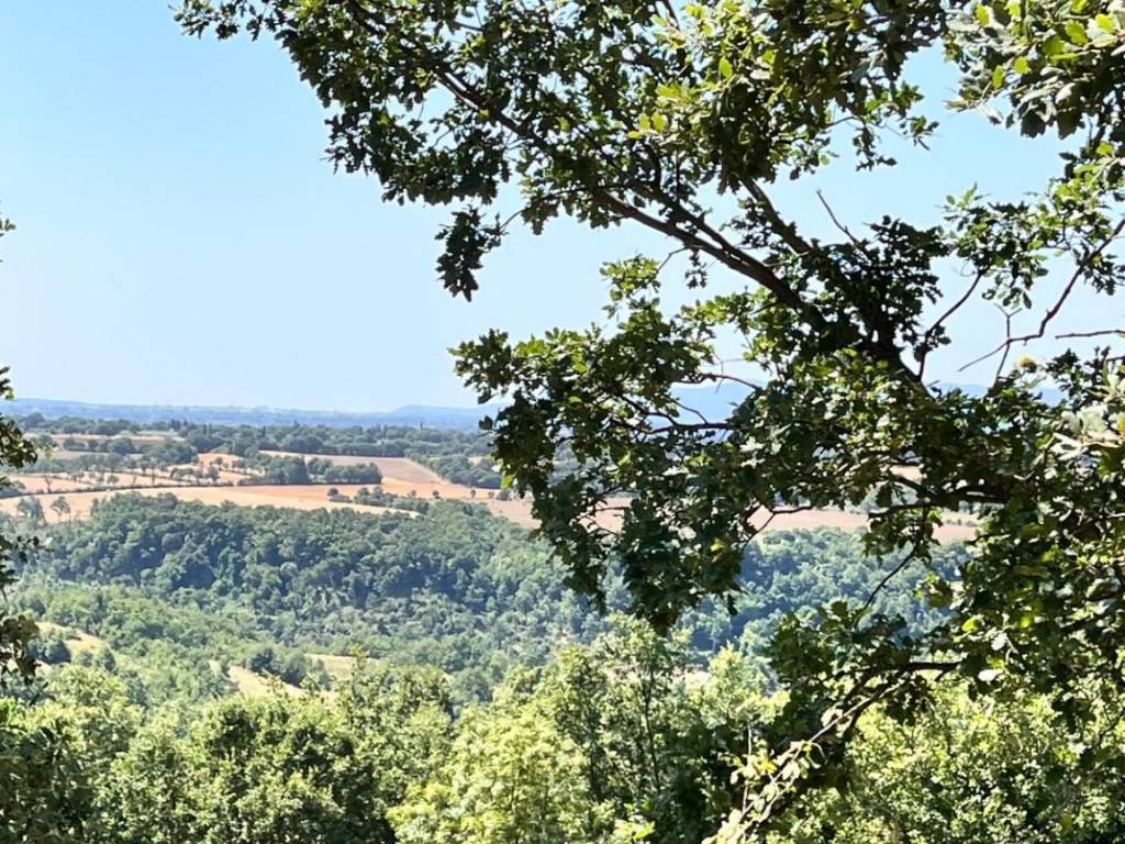 Rustico / casale a Sorano in Case Sparse Casa Pennacchi - Foto 3