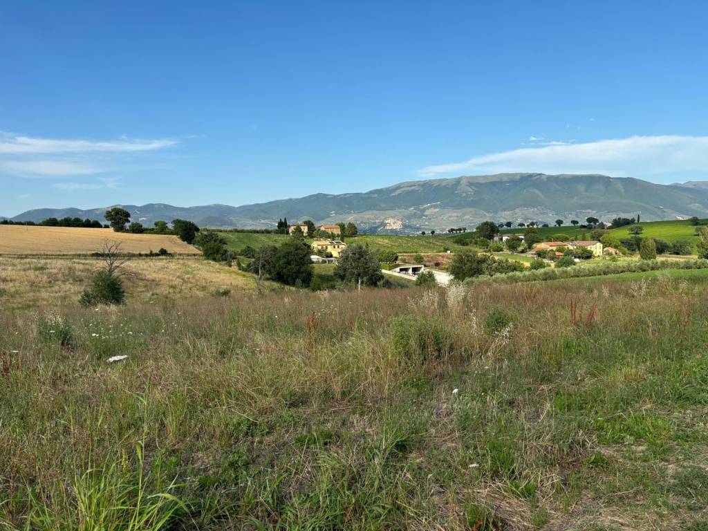 Terreno a Montefalco in Case Micanti - Foto 3