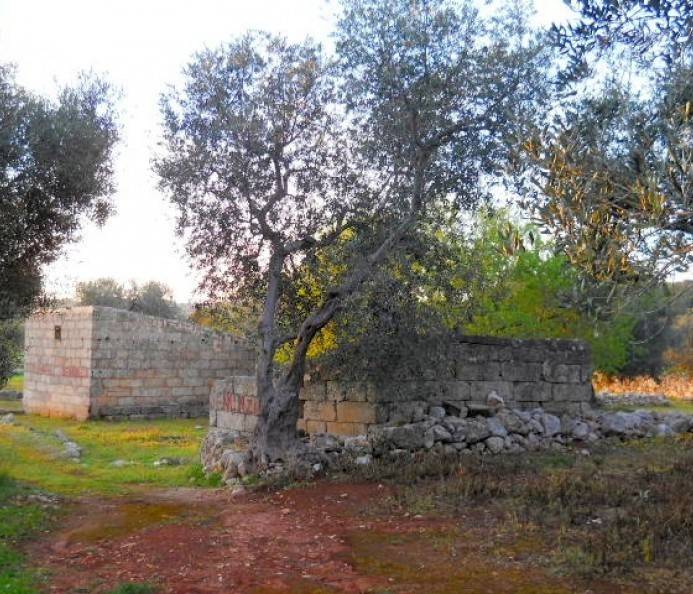 Casa indipendente a Castrignano del capo - Foto 2