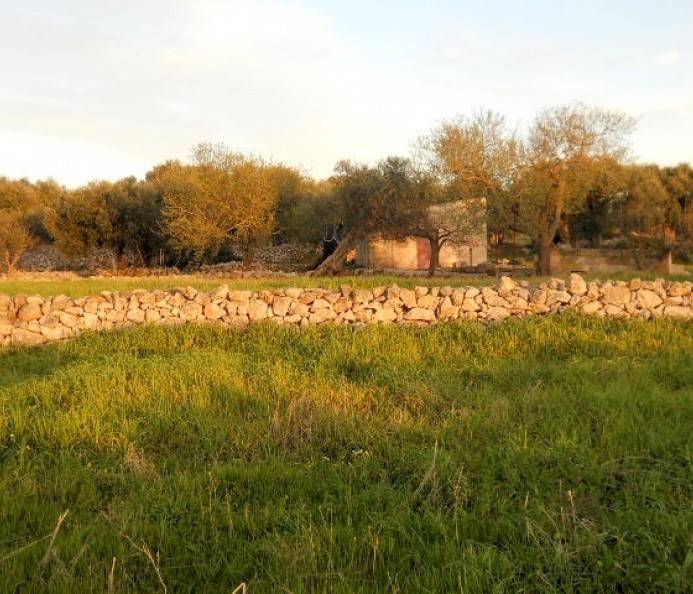Casa indipendente a Castrignano del capo - Foto 4