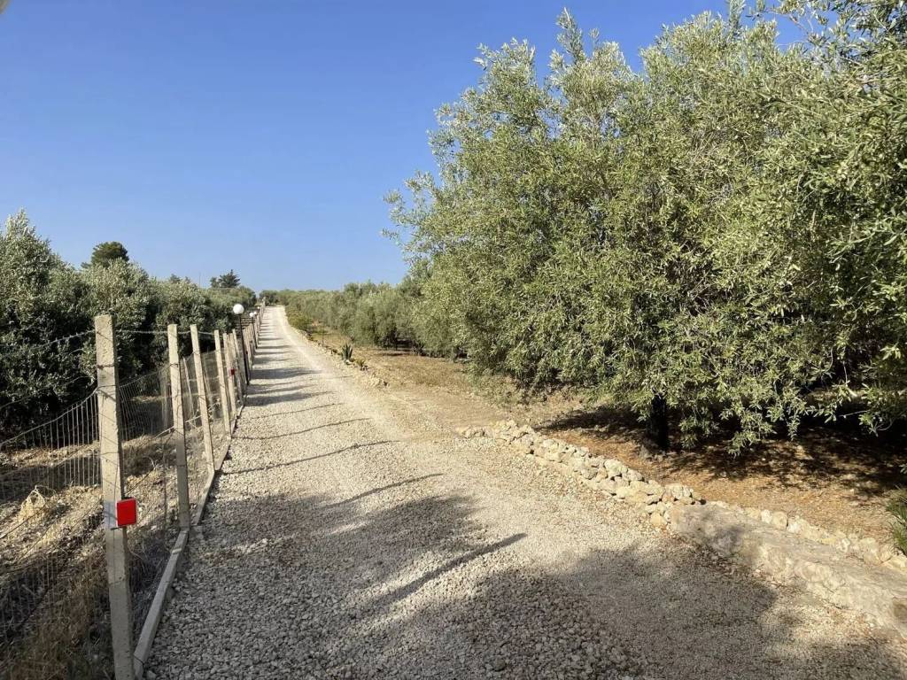 Rustico / casale a Butera in Strada Vicinale Carruba S.N.C. - Foto 5