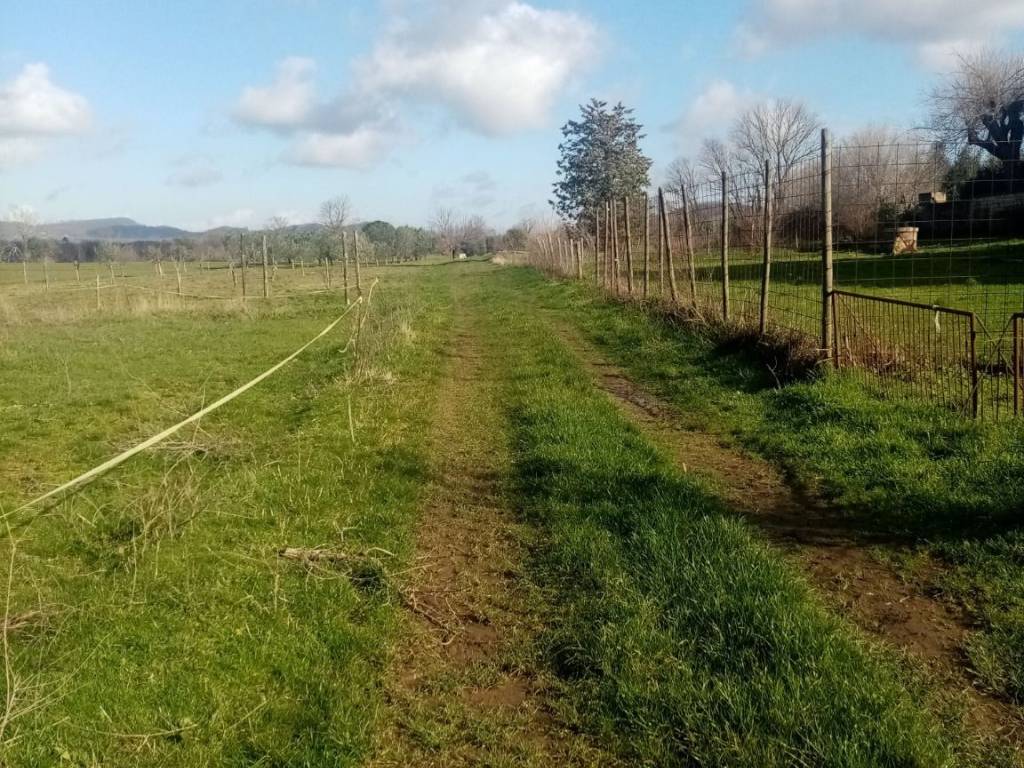 Terreno a Sorano in loc. Filetta - Foto 5