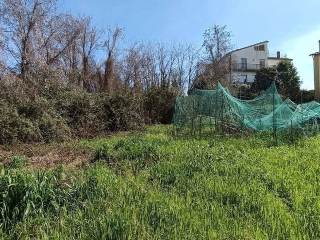 Terreno a Amelia in Fornole strada degli zoppi , snc - Foto 3
