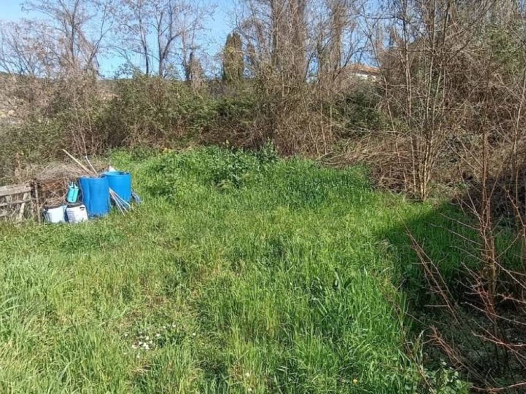 Terreno a Amelia in Fornole strada degli zoppi , snc - Foto 4