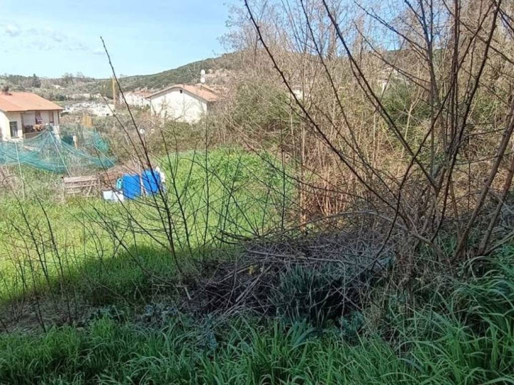 Terreno a Amelia in Fornole strada degli zoppi , snc - Foto 5