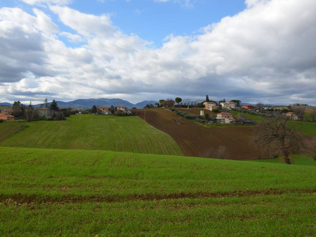 Terreno a Appignano - Foto 4