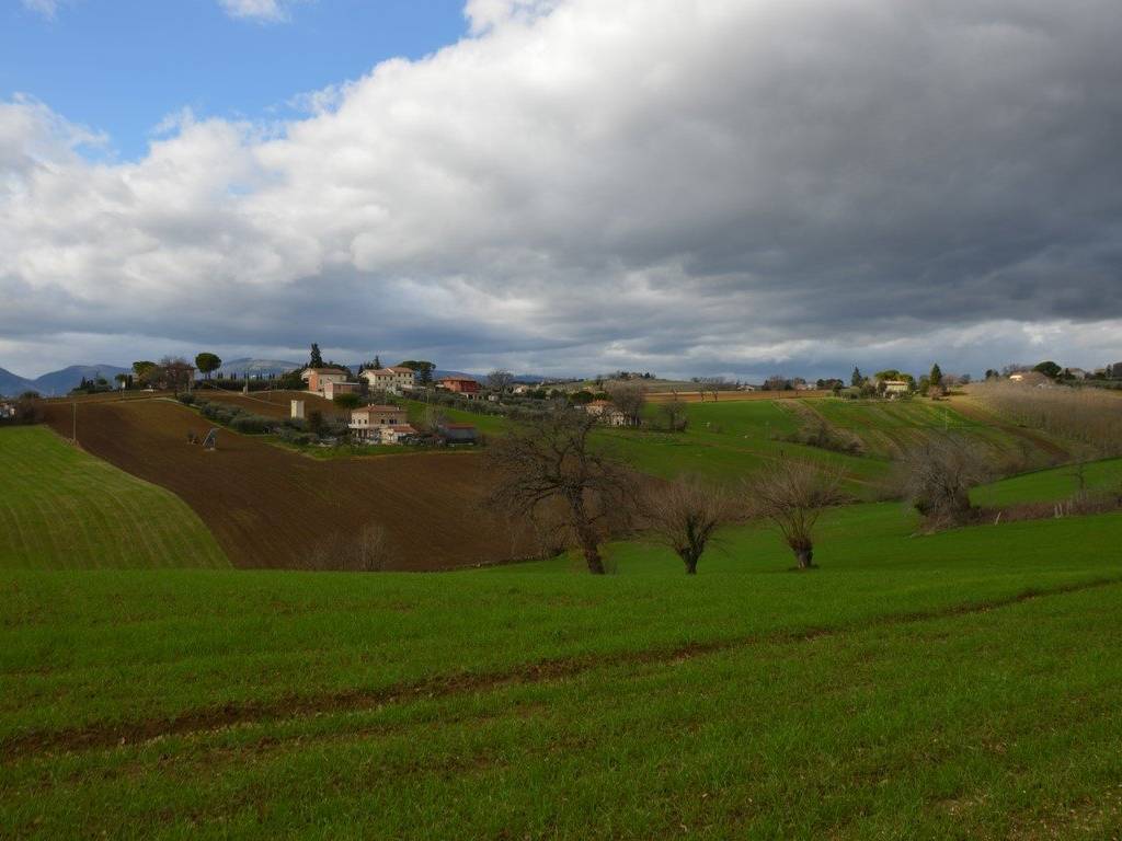 Terreno a Appignano - Foto 5