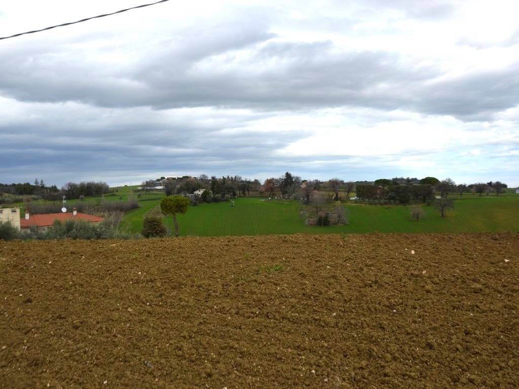 Terreno a Appignano - Foto 2