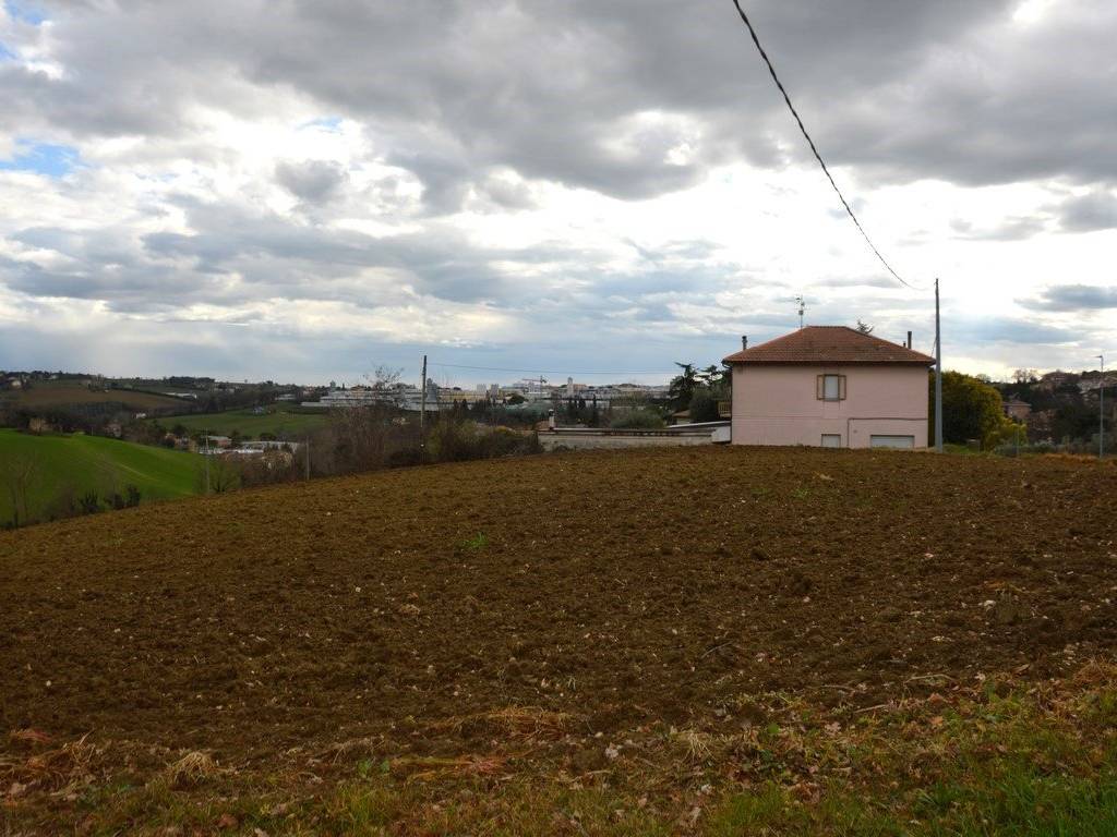 Terreno a Appignano - Foto 3