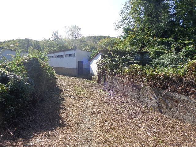 Rustico / casale a Cavatore in Via del Borgo - Foto 5