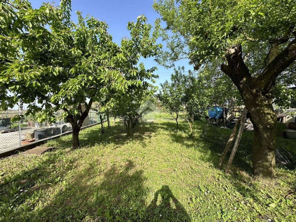 Casa indipendente a Poviglio in Via Romana, 13 - Foto 3