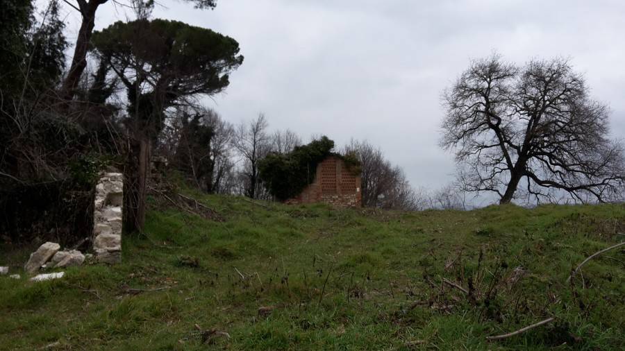 Rustico / casale a Asciano in STRADA PROVINCIALE 438 - Foto 3