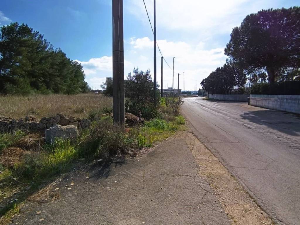 Terreno a Tricase in Strada Vicinale Alessano Tutino - Foto 4
