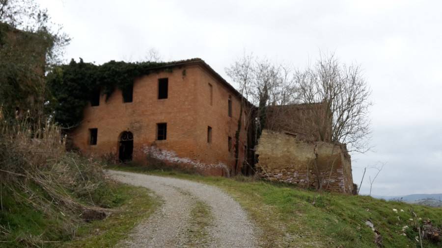 Rustico / casale a Asciano in STRADA PROVINCIALE 438 - Foto 2