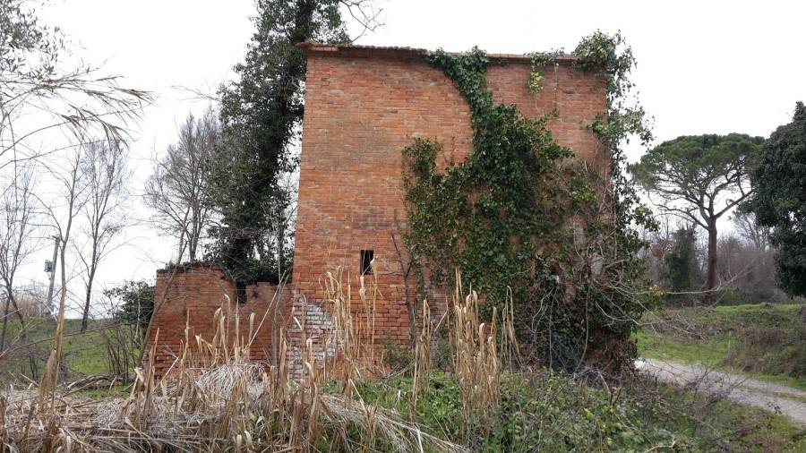 Rustico / casale a Asciano in STRADA PROVINCIALE 438 - Foto 2