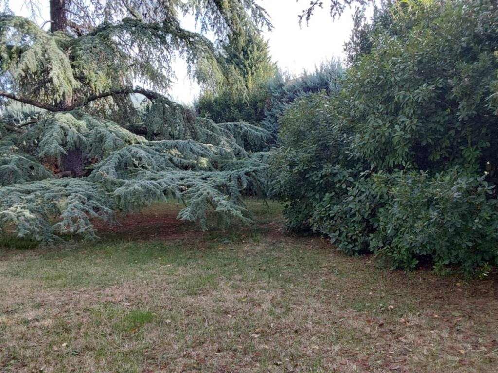 Villa a Appignano - Foto 5
