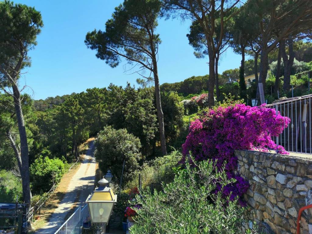 Villa a Marciana marina - Foto 3