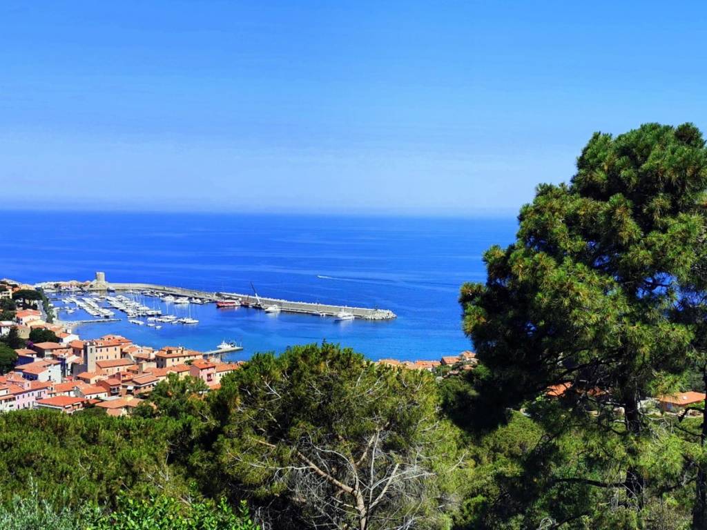 Villa a Marciana marina - Foto 4