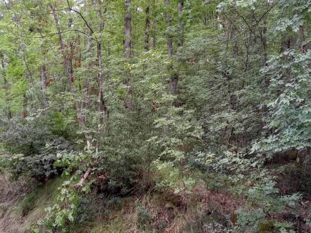 Terreno a Lamporecchio - Foto 2