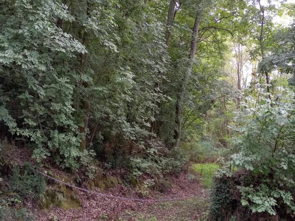 Terreno a Lamporecchio - Foto 4