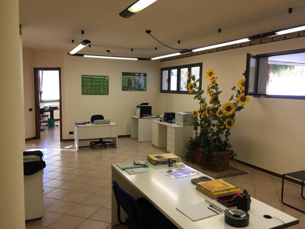 Immobile a Biella in Via Addis Abeba, 38 - Foto 5