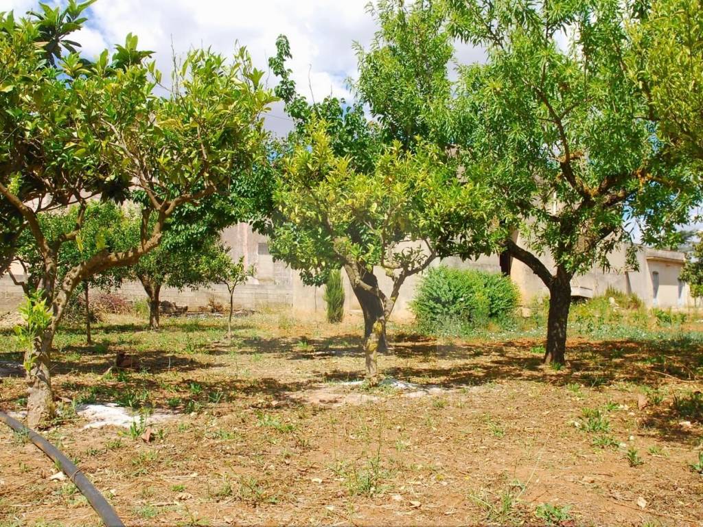 Terreno a Specchia in Via Stazione, 28 - Foto 5