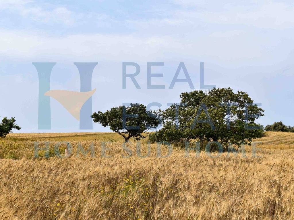 Rustico / casale a Noto in Via Tommaso Fazello, 228 - Foto 2