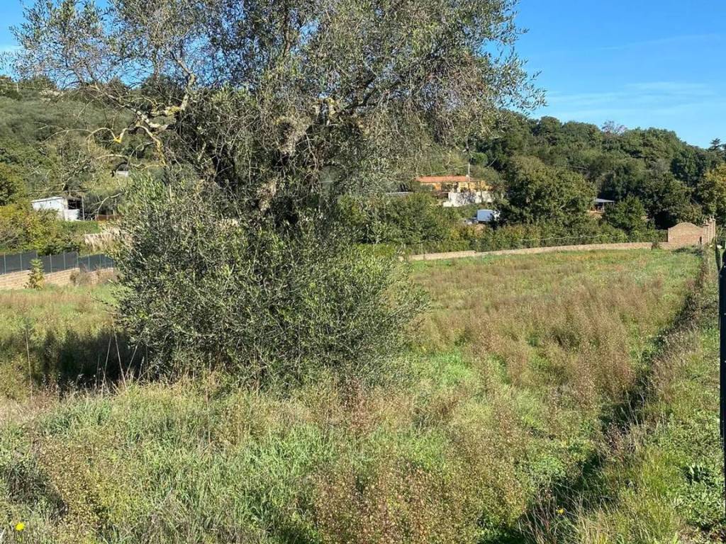 Terreno a Monterosi in Via Compagniucci Anastasio, 6 - Foto 4