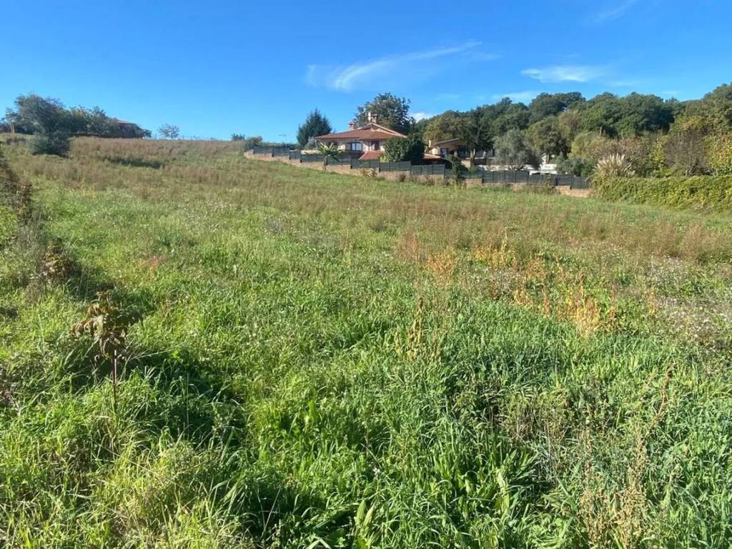 Terreno a Monterosi in Via Compagniucci Anastasio, 6 - Foto 5