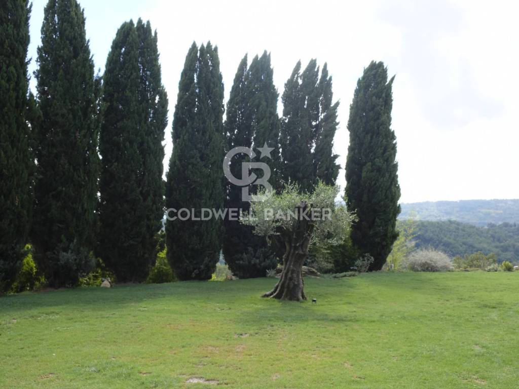 Rustico / casale a Penna in teverina in penna molino - Foto 3