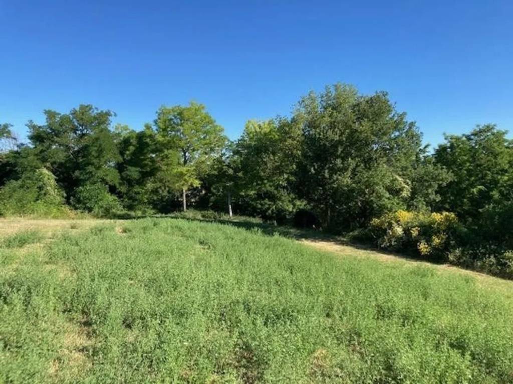 Rustico / casale a Peglio - Foto 4