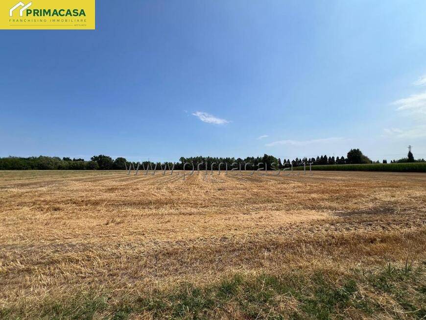 Rustico / casale a Pressana in VIA CARBON, 76 - Foto 5