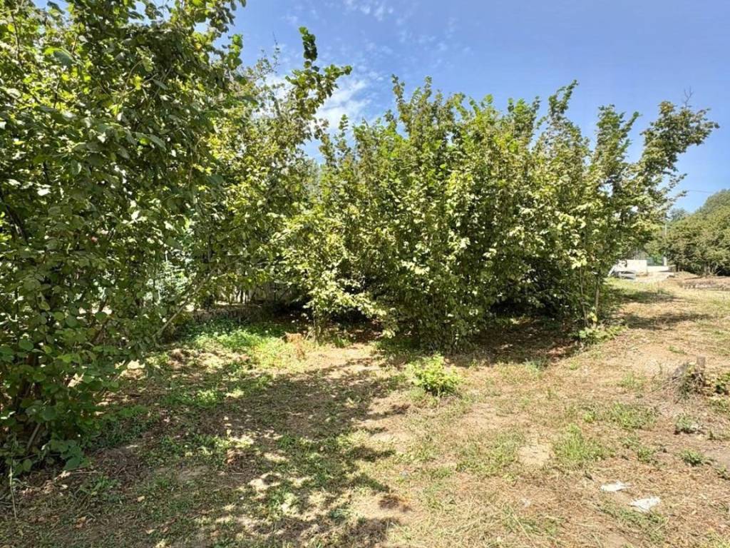 Terreno a Contrada in Via Schiti - Foto 2